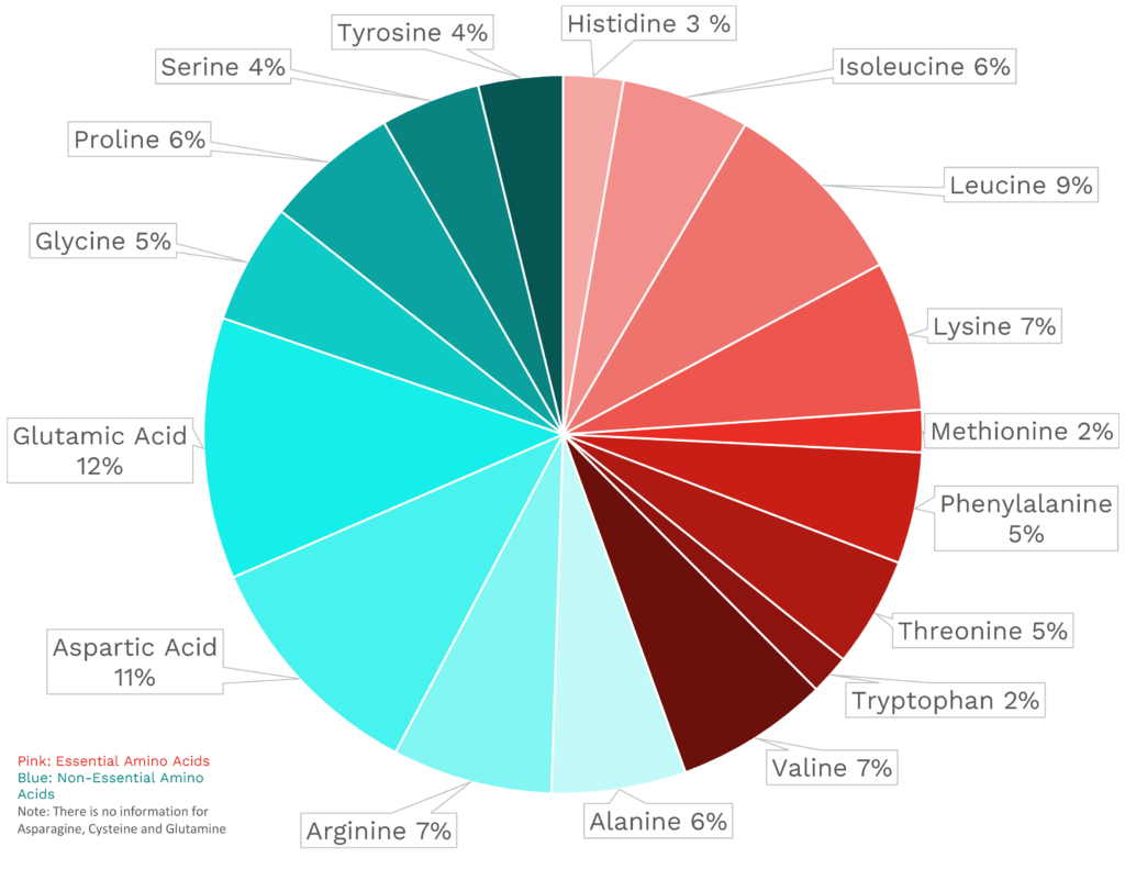 Visual graphic of amino acid distribution in collard greens.