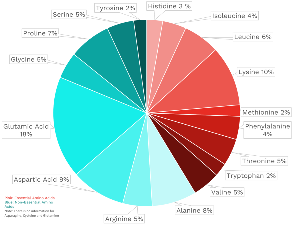 Visual graphic of amino acid distribution in cremini mushrooms.