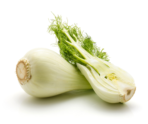 An image of fennel.