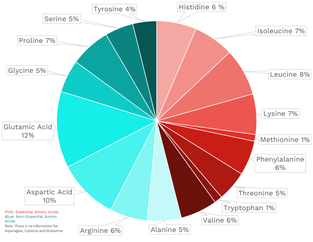 Visual graphic of amino acid distribution in kale.