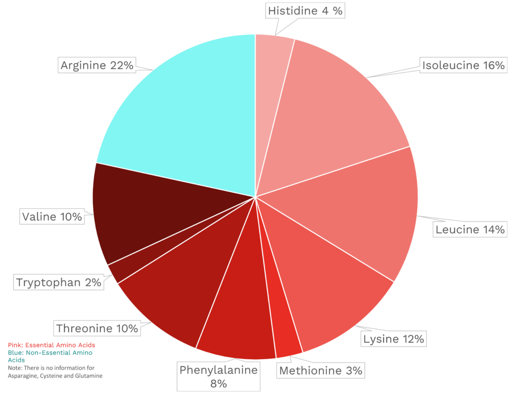 Visual graphic of amino acid distribution in kohlrabi.