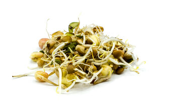 An image of mung bean sprouts.
