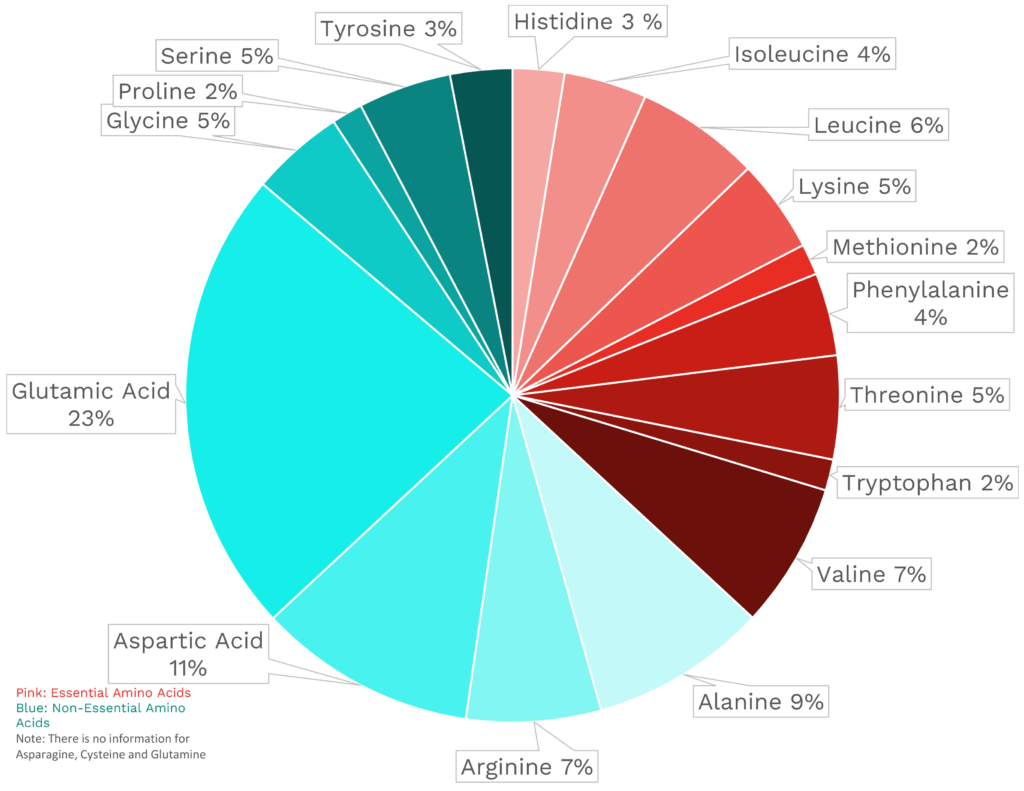 Visual graphic of amino acid distribution in oyster mushroom.