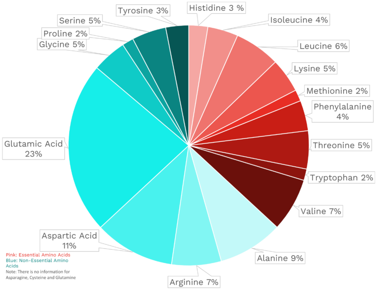 Oyster Mushroom Nutrients