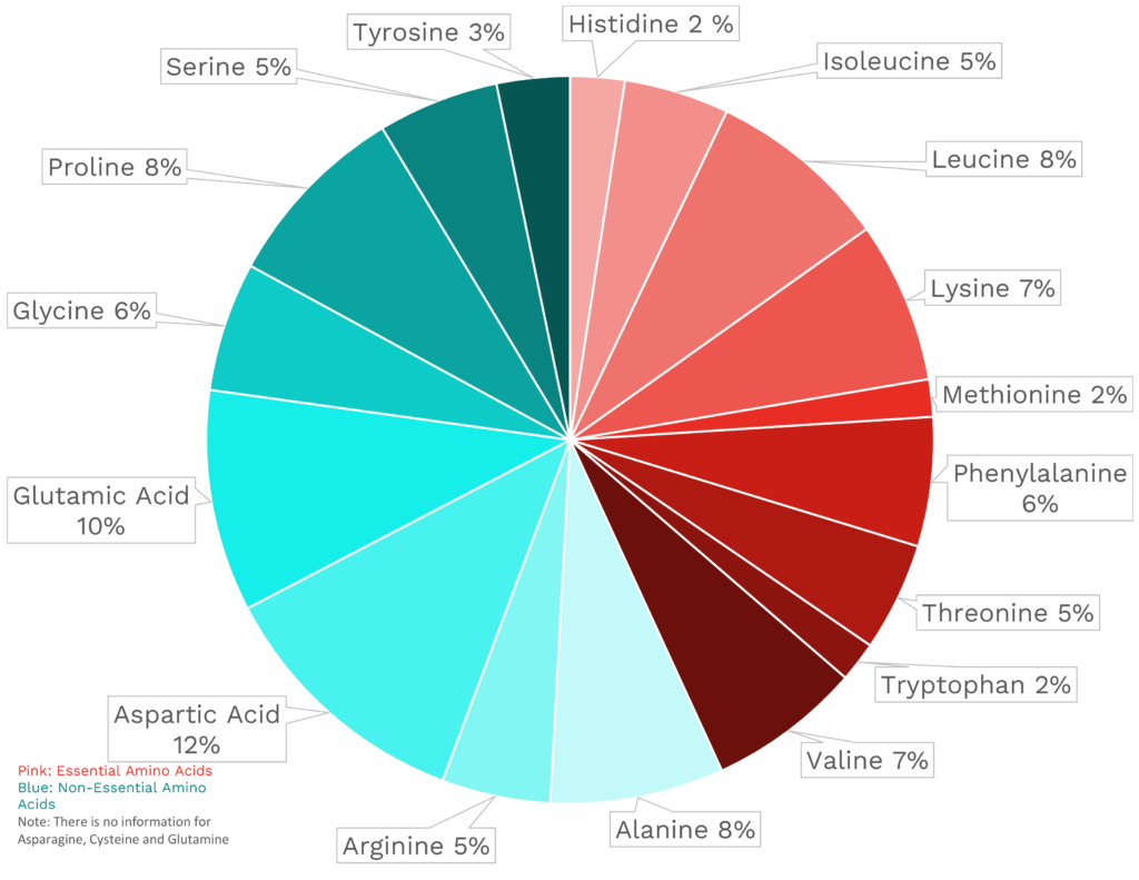 Visual graphic of amino acid distribution in parsley.