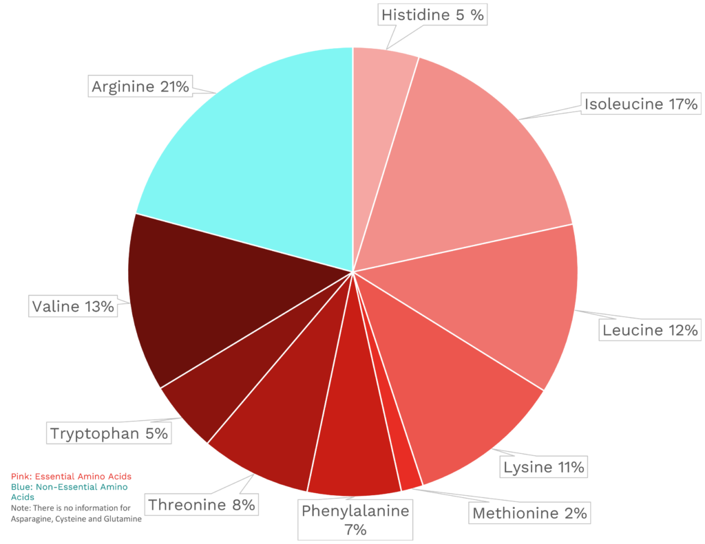 Visual graphic of amino acid distribution in radicchio.