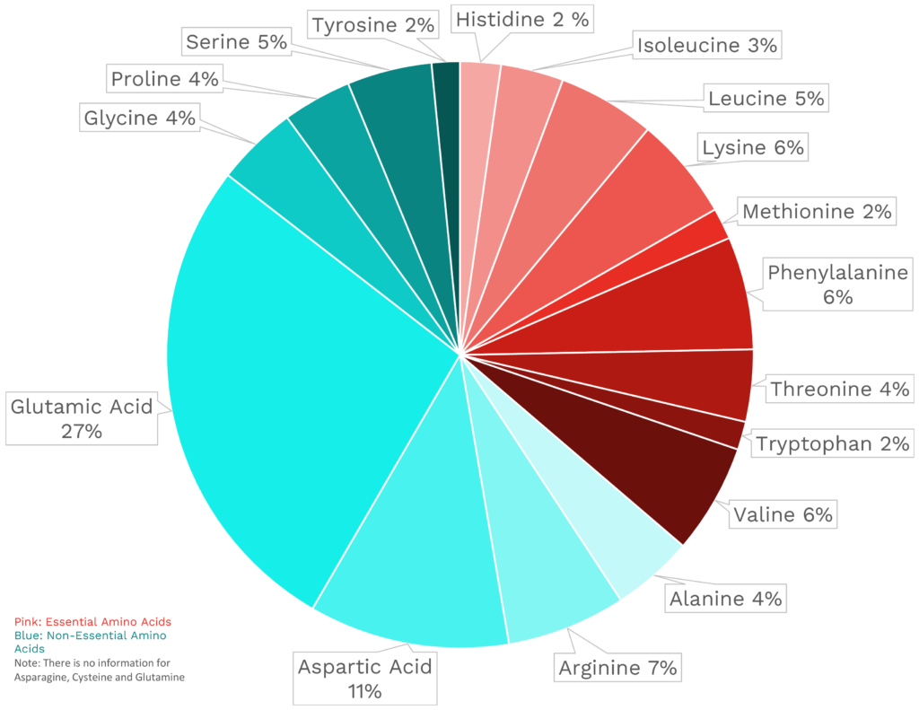 Visual graphic of amino acid distribution in radishes.