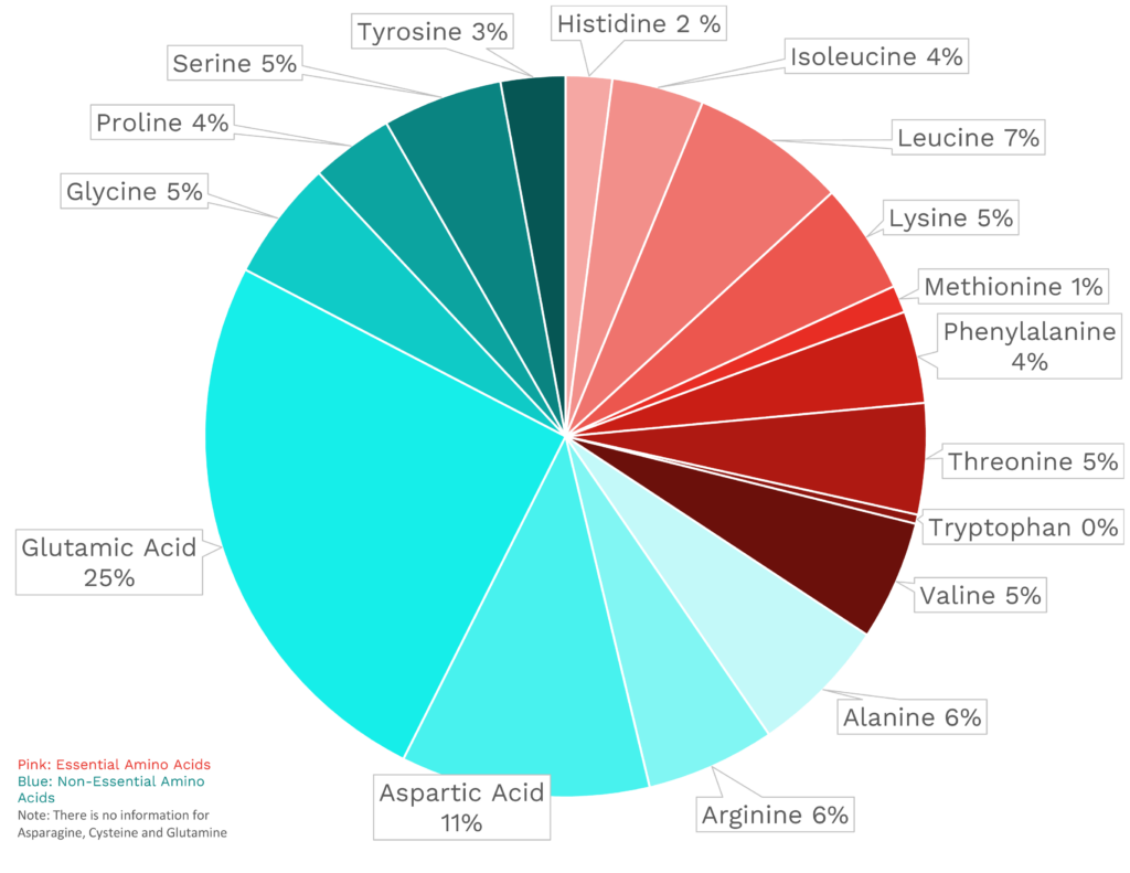 Visual graphic of amino acid distribution in shiitake mushrooms.