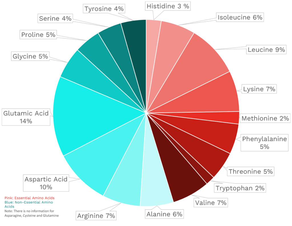 Visual graphic of amino acid distribution in spinach.