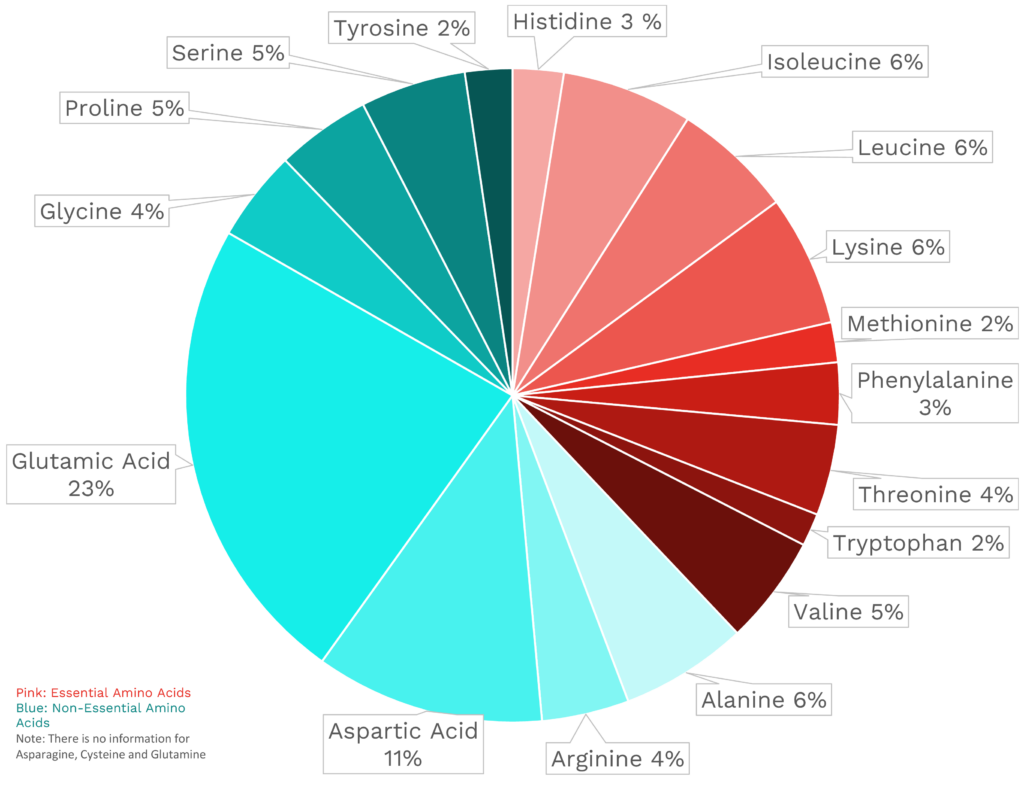 Visual graphic of amino acid distribution in turnip.