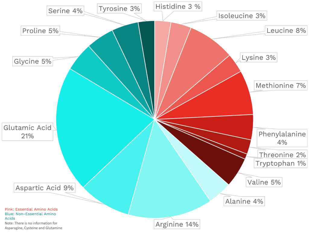 Visual graphic of amino acid distribution in Brazil nut.