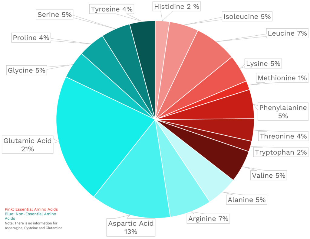 Visual graphic of amino acid distribution in butternut squash.