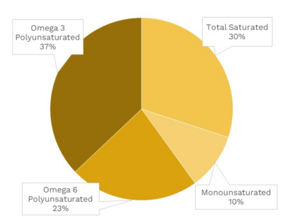 Visual graphic of fats in butternut squash.