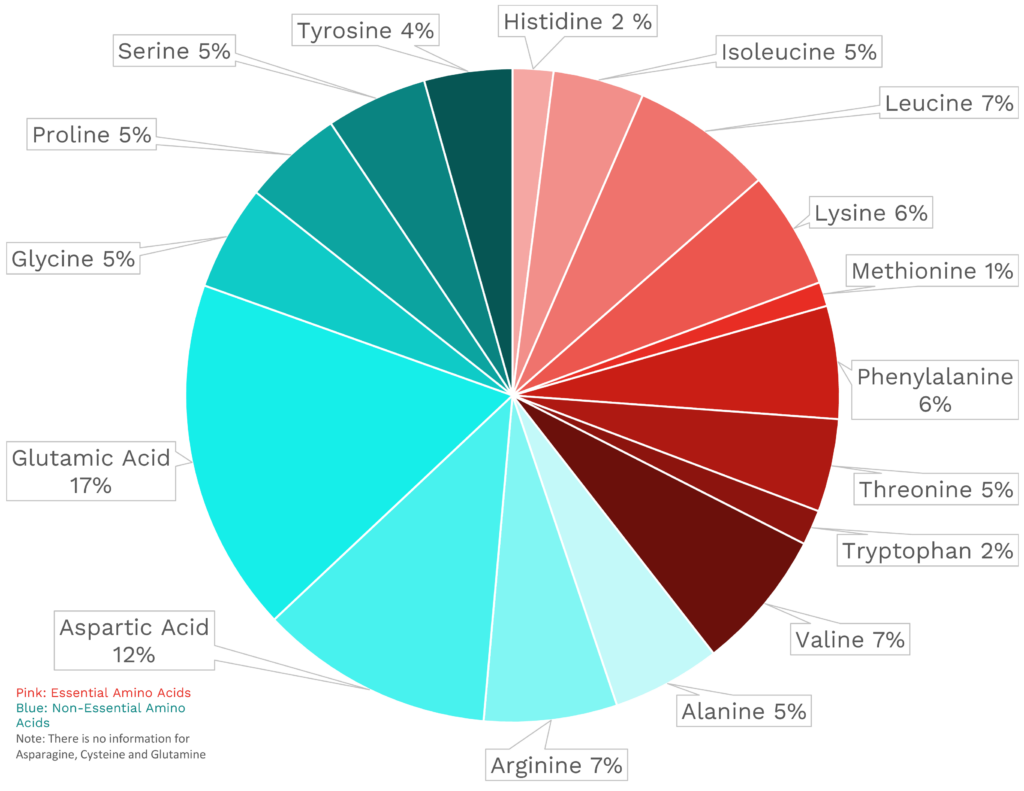 Visual graphic of amino acid distribution in unsweetened cocoa powder.