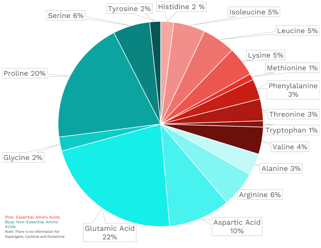 Visual graphic of amino acid distribution in green cabbage.