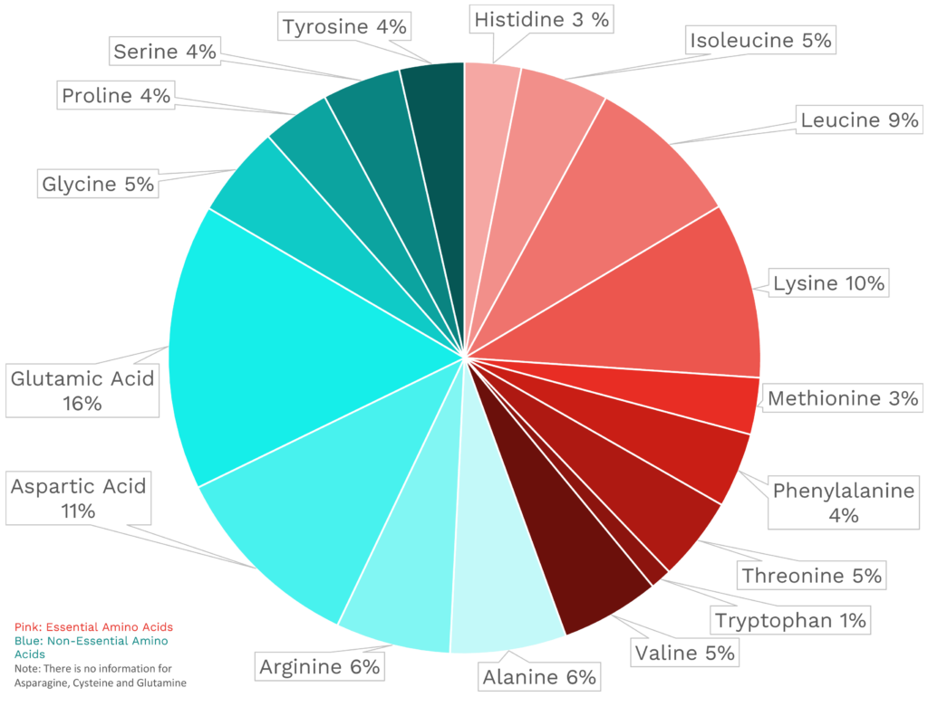 Visual graphic of amino acid distribution in halibut.