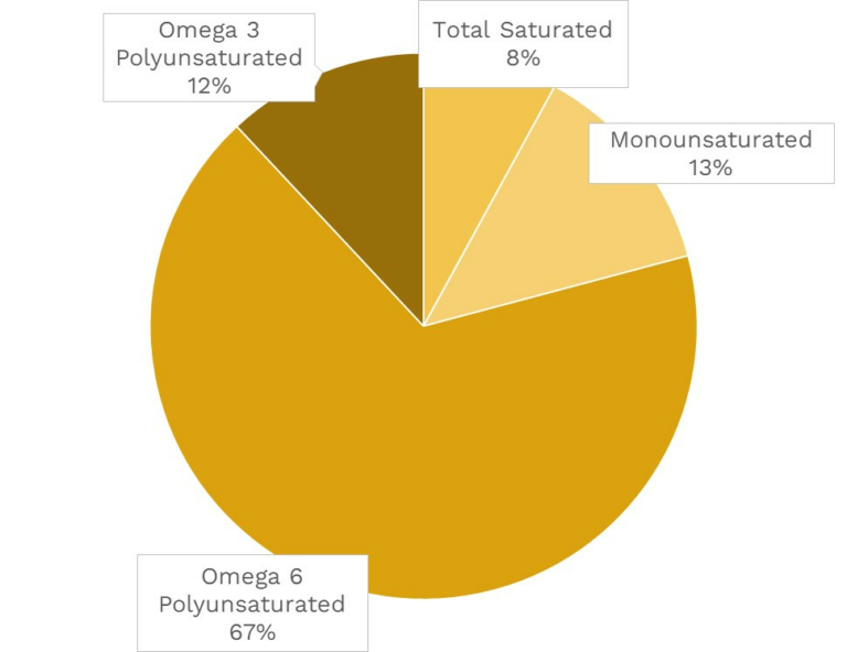 Visual graphic of fats in green kiwi.