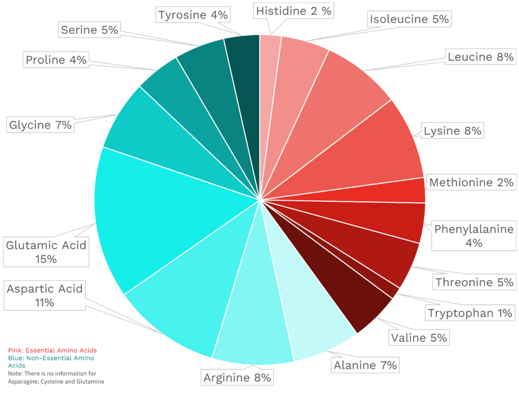 Visual graphic of amino acid distribution in Pacific oysters.