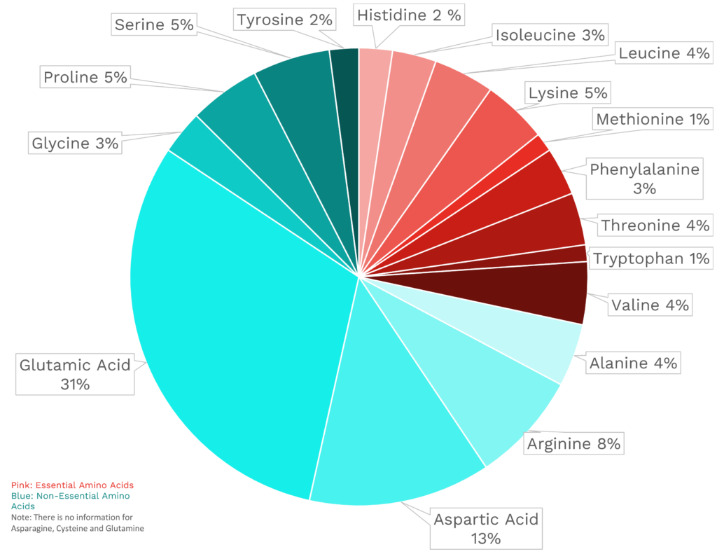 Visual graphic of amino acid distribution in sauerkraut.