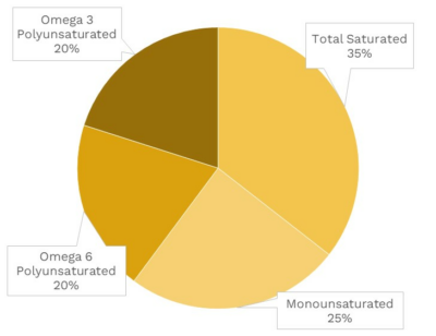 Visual graphic of fats in shrimp.