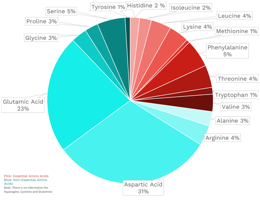 Visual graphic of amino acid distribution in sweet red pepper.