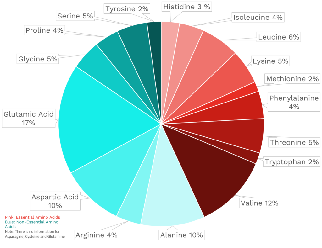 Visual graphic of amino acid distribution in white button mushroom.