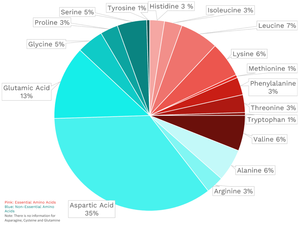 Visual graphic of amino acid distribution in apples (with skin).