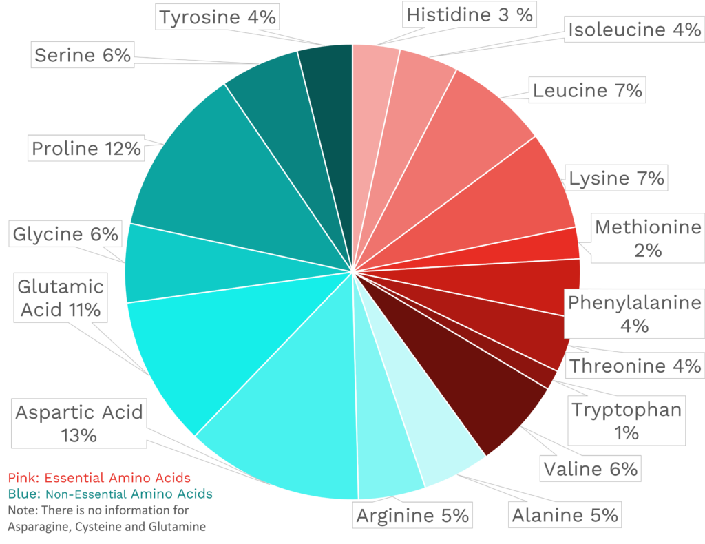 Visual graphic of amino acid distribution in cinnamon.