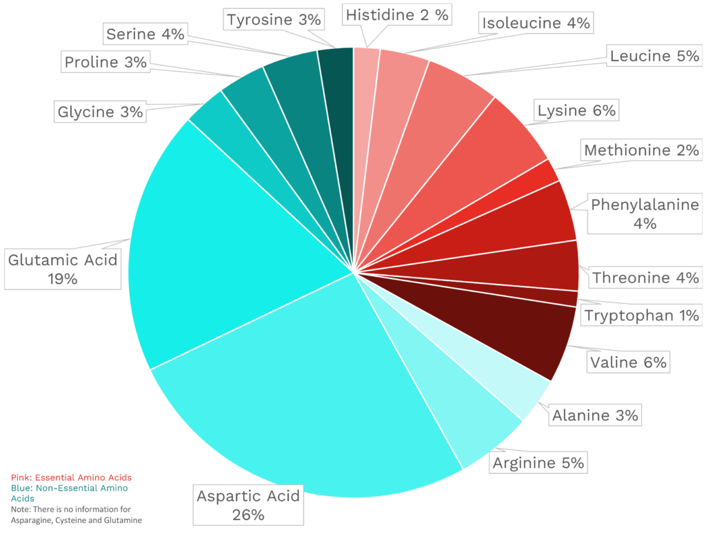 Visual graphic of amino acid distribution in potato.