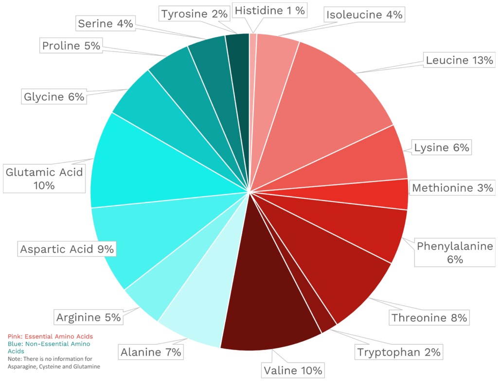 Visual graphic of amino acid distribution in wakame.