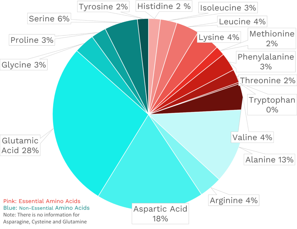 Visual graphic of amino acid distribution in cantaloupe.