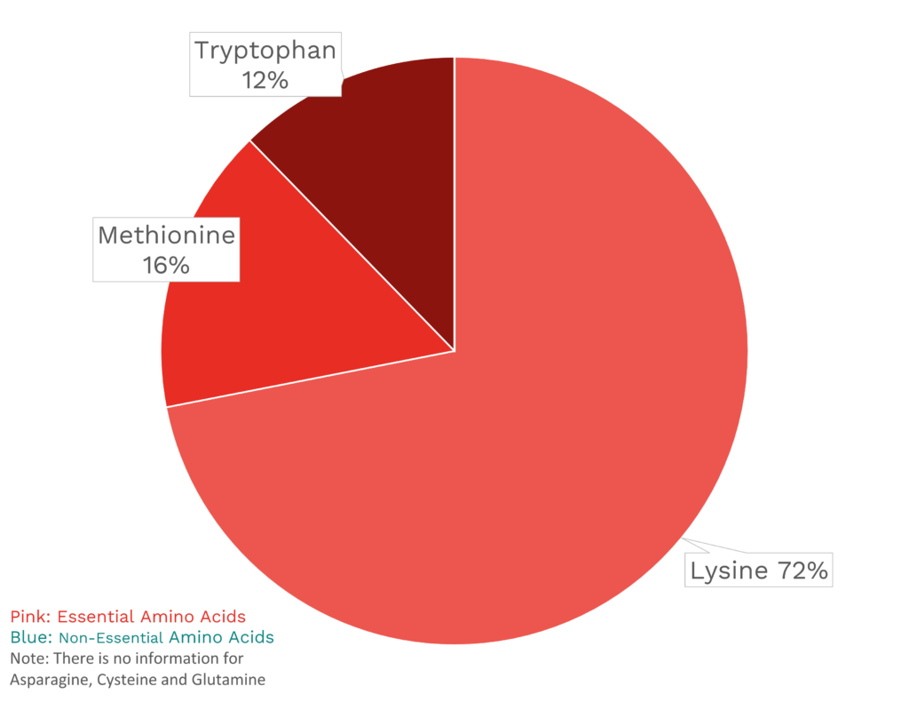 Visual graphic of amino acid distribution in lychee.