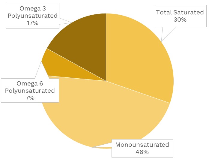 Visual graphic of fats in mango.