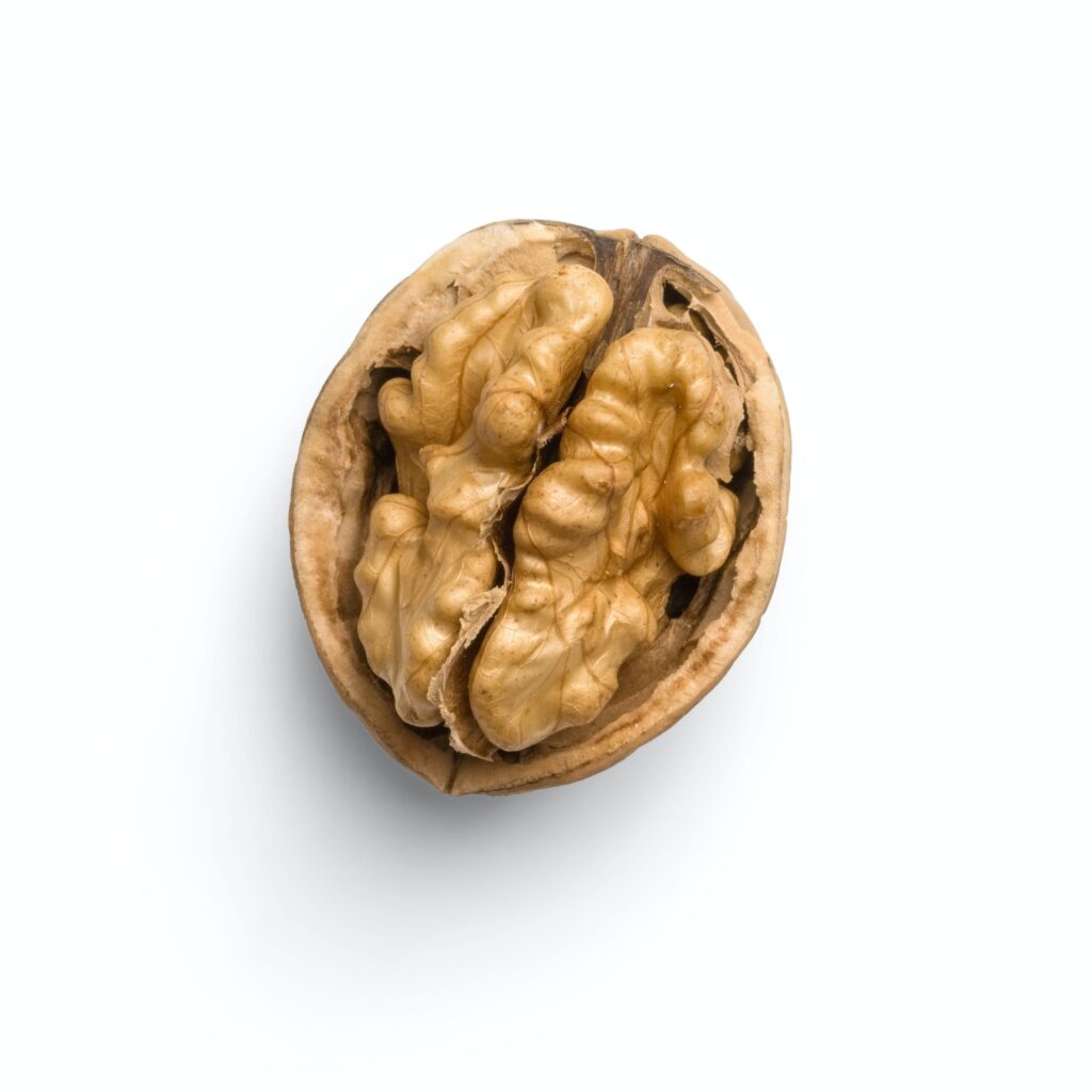 An image of a walnut.
