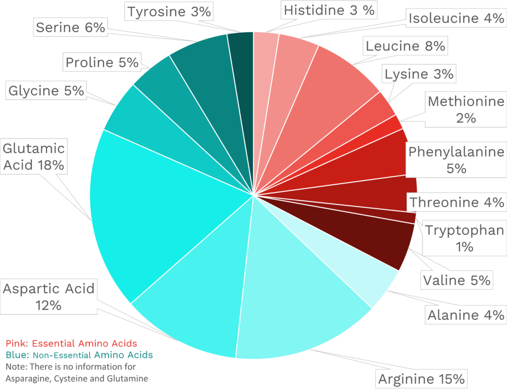 Visual graphic of amino acid distribution in walnut.