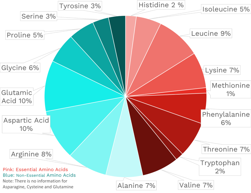 Visual graphic of amino acid distribution in watercress.