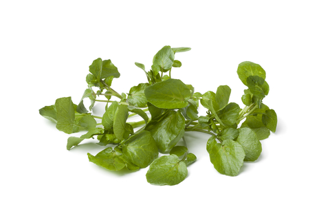 An image of watercress.