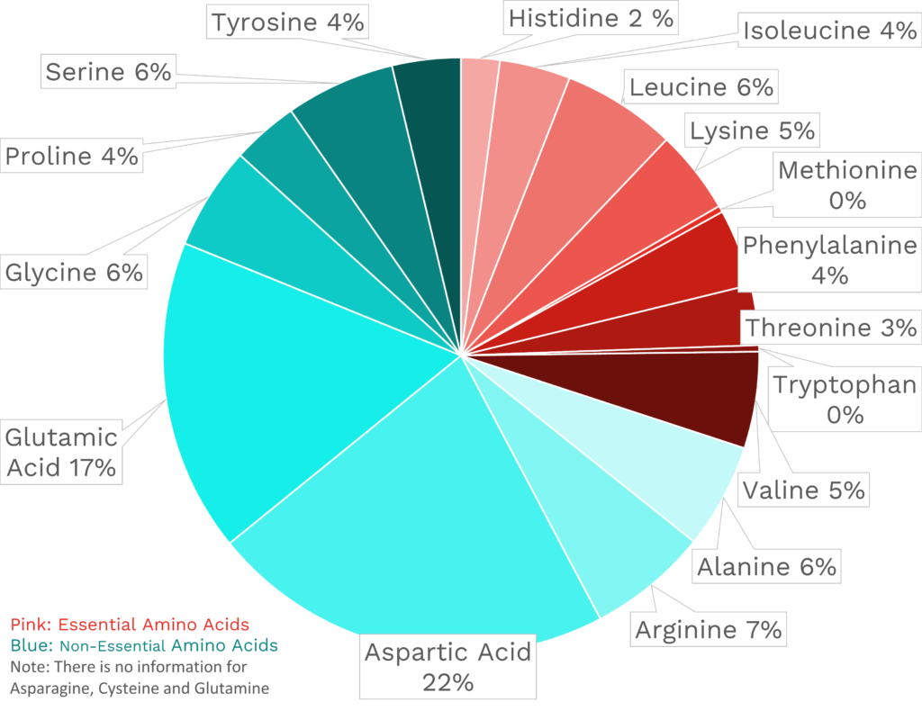 Visual graphic of amino acid distribution in cranberries.