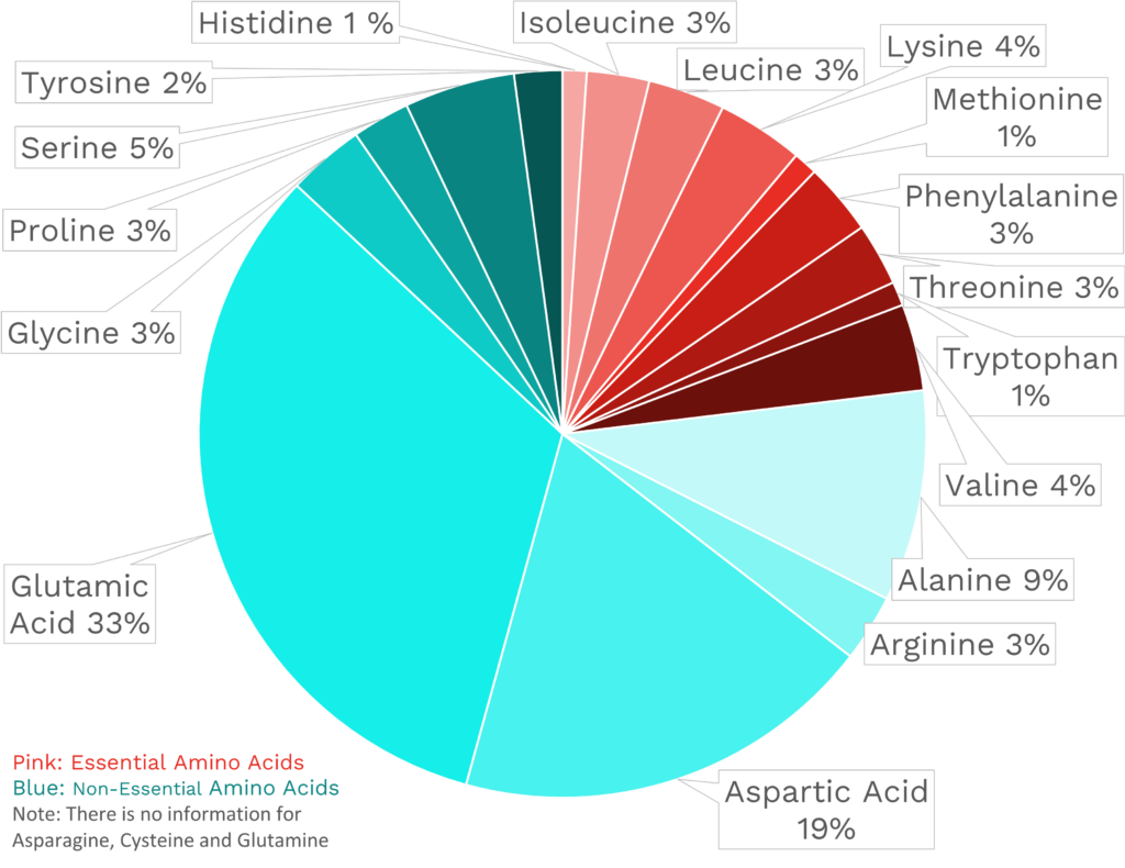 Visual graphic of amino acid distribution in honeydew melon.