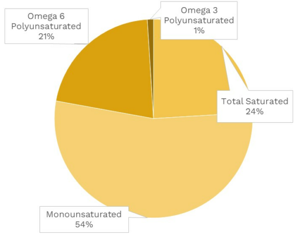 Visual graphic of fats in parsnips.