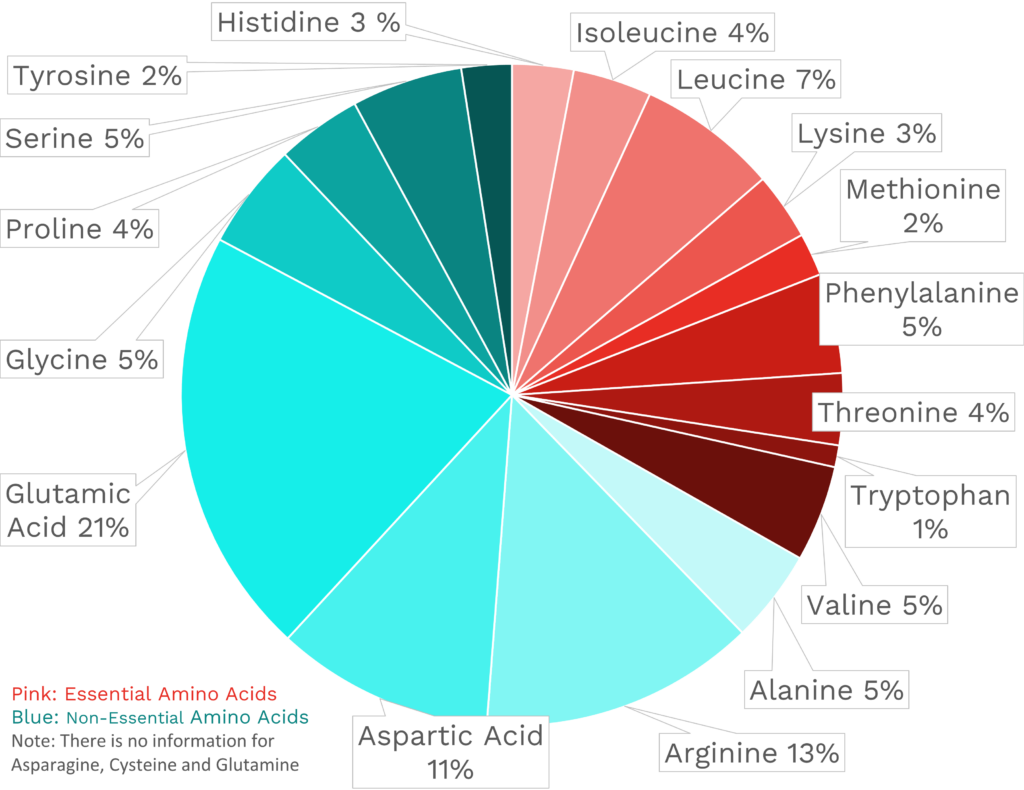 Visual graphic of amino acid distribution in pecan.