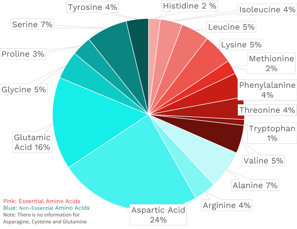 Visual graphic of amino acid distribution in pineapple.