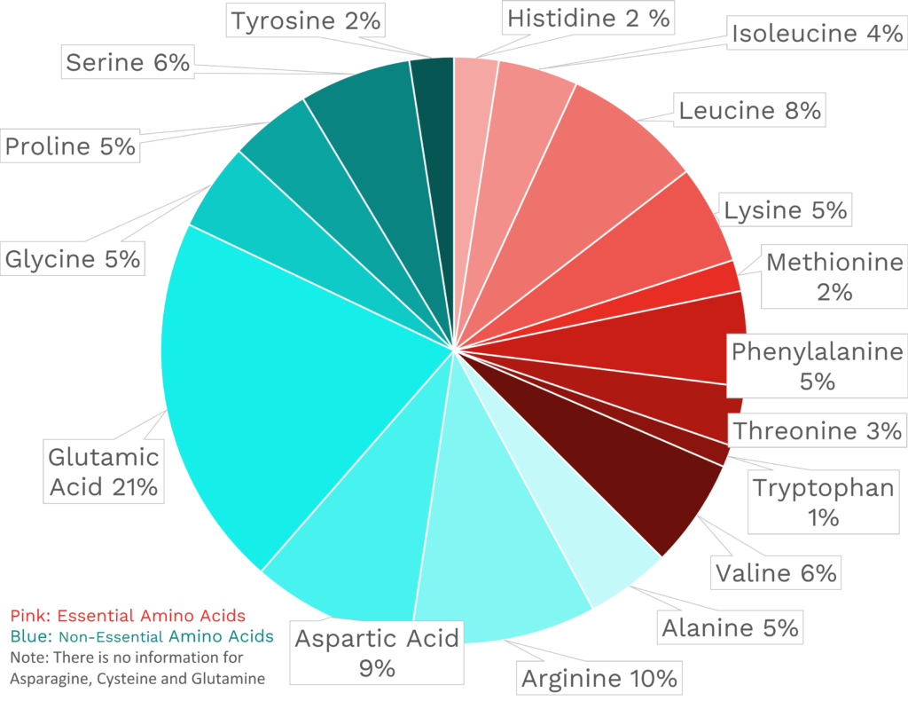 Visual graphic of amino acid distribution in pistachios.