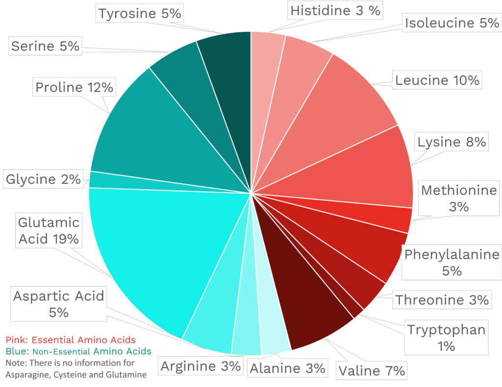 Visual graphic of amino acid distribution in swiss cheese.