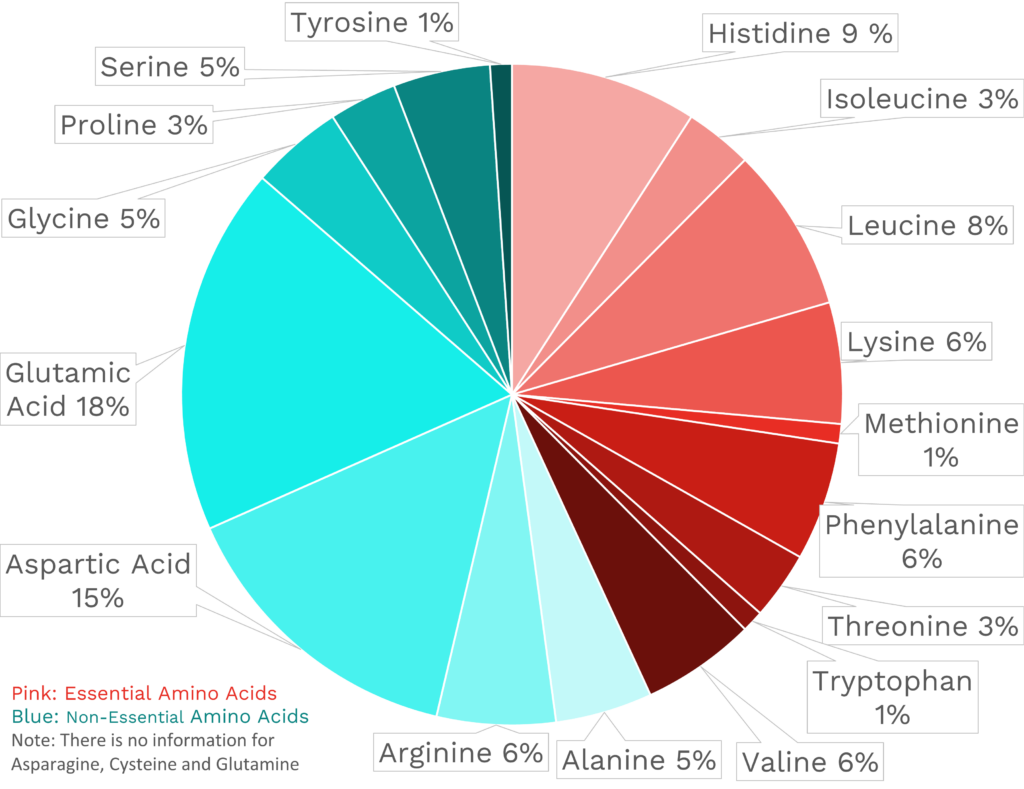 Visual graphic of amino acid distribution in banana.