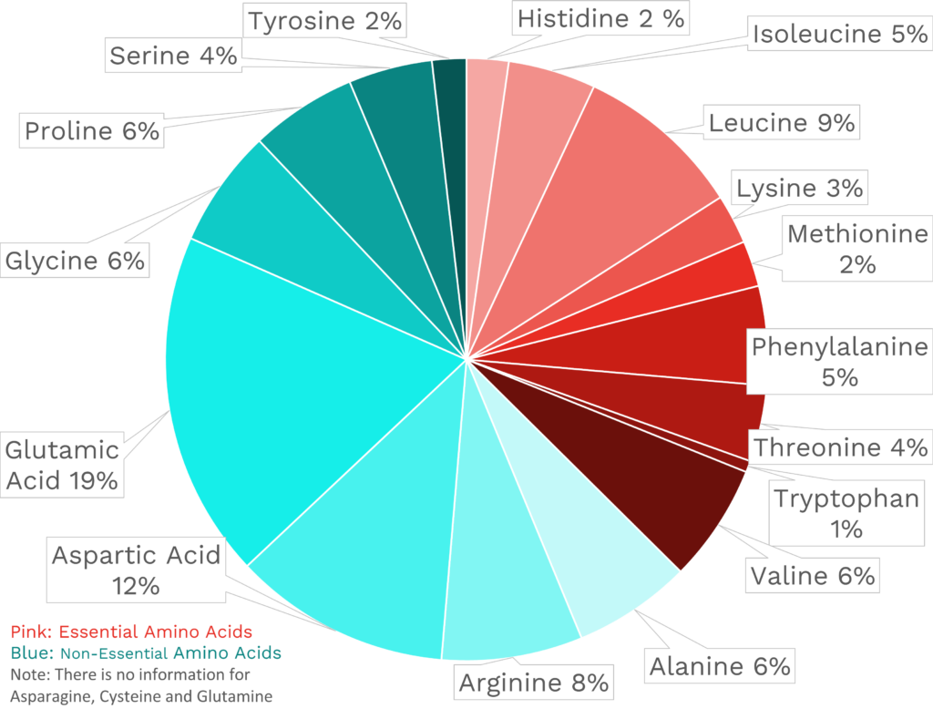 Visual graphic of amino acid distribution in blueberries.