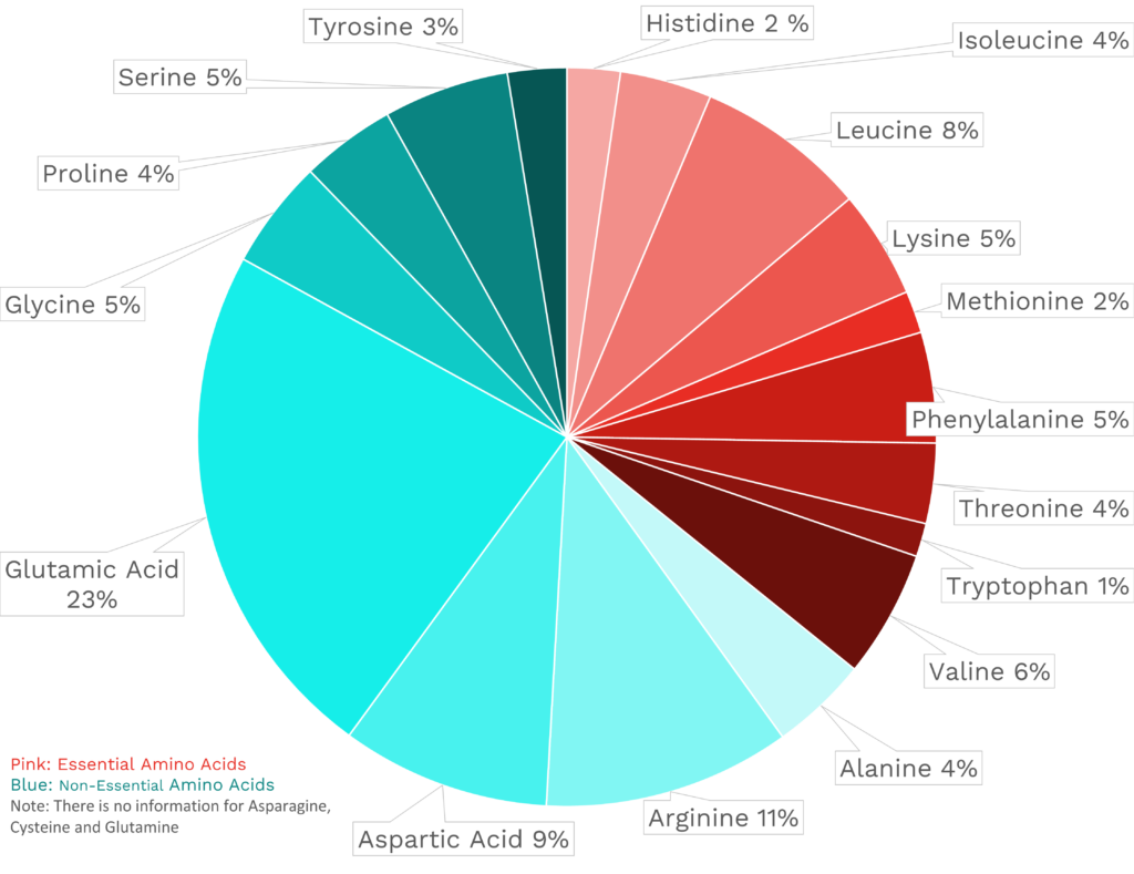 Visual graphic of amino acid distribution in cashews.