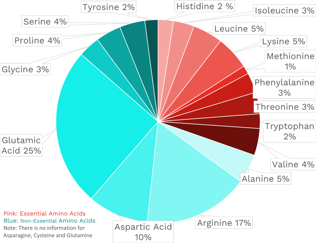 Visual graphic of amino acid distribution in cassava.