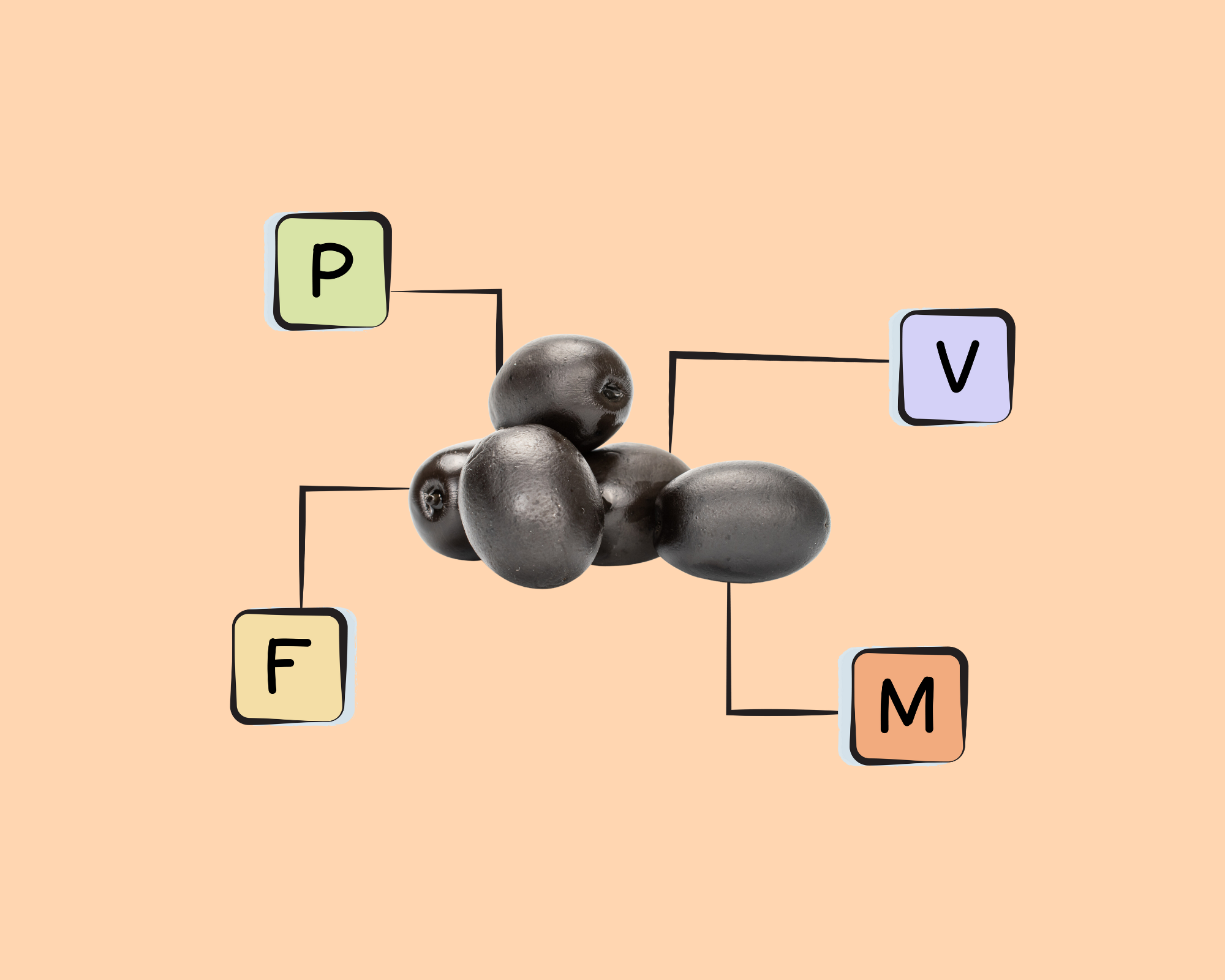 Black Olive Nutrients