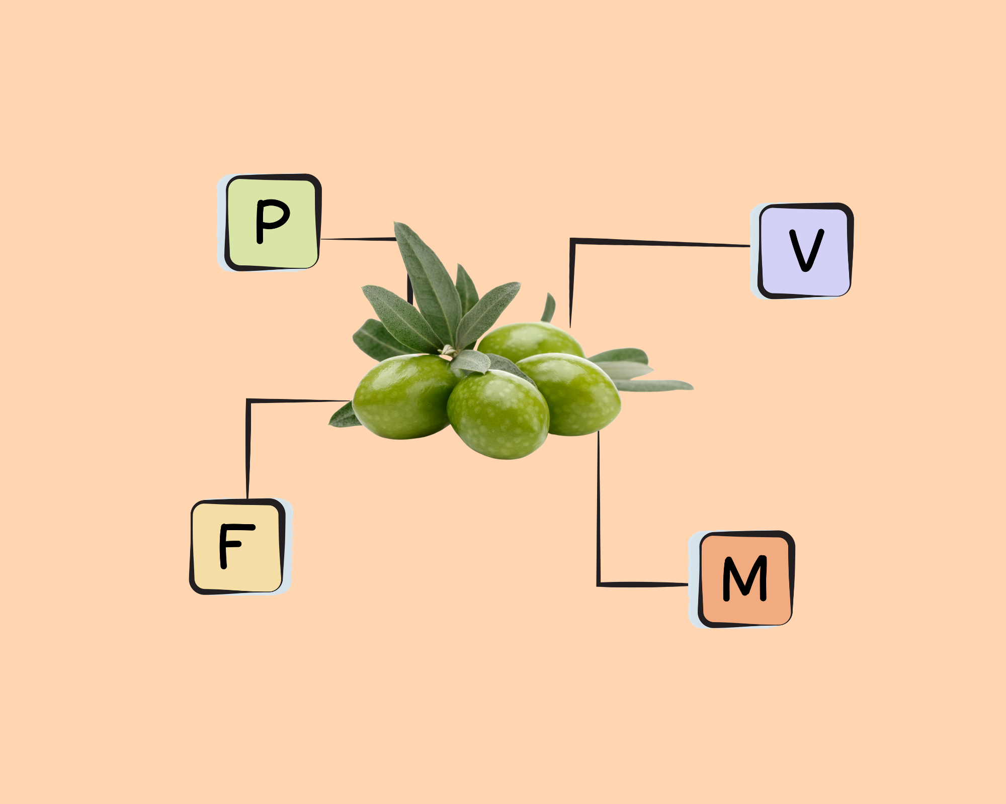 Green Olive Nutrients